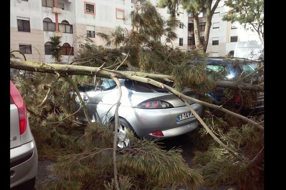 leitores, fotografias, mau tempo, chuva, vento, temporal