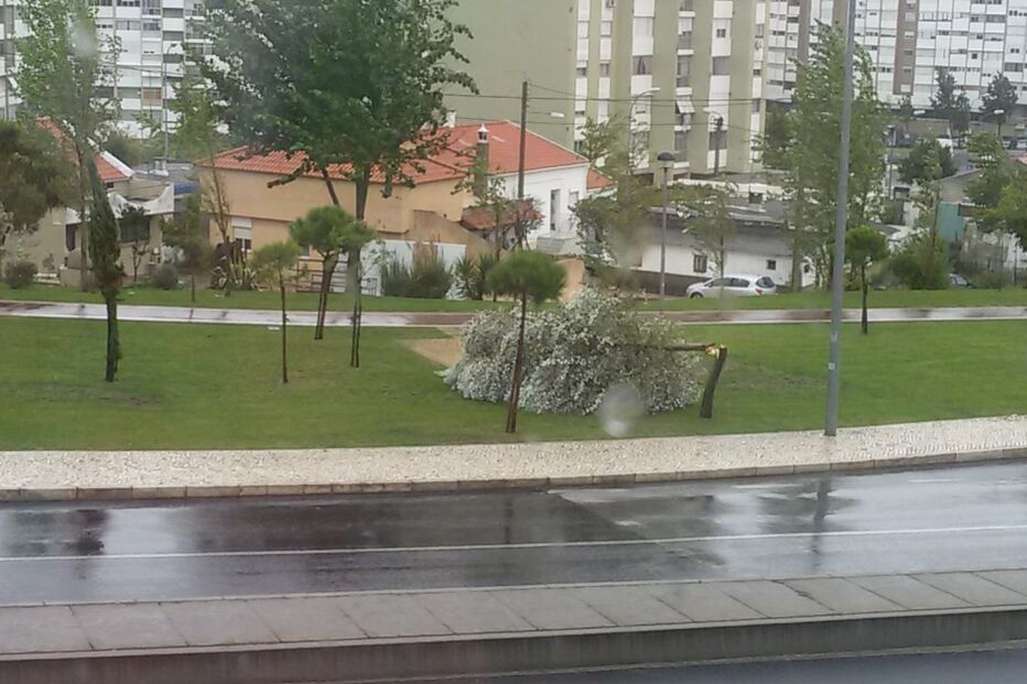 leitores, fotografias, mau tempo, chuva, vento, temporal