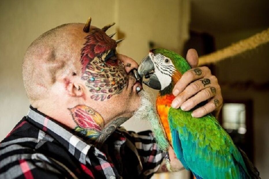 18-10-2015_10_30_09 papagaio.jpg