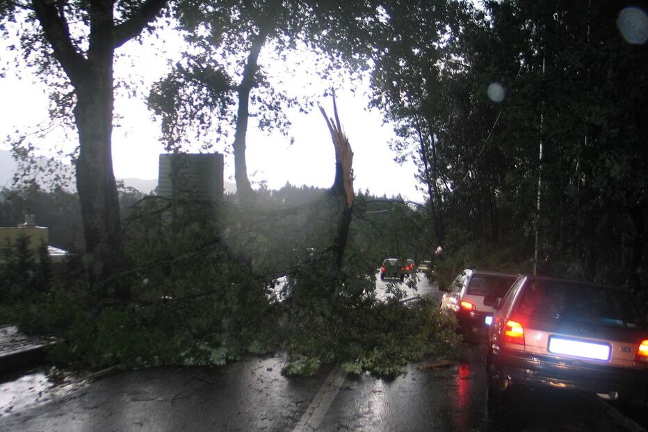 Quedas de árvores, mau tempo