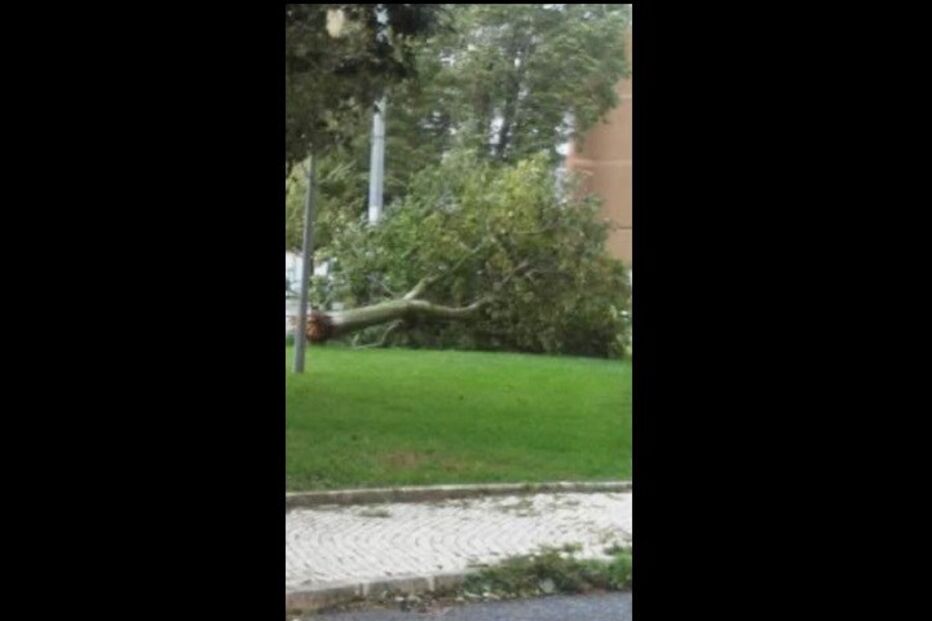 mau tempo, fotos dos leitores, temporal