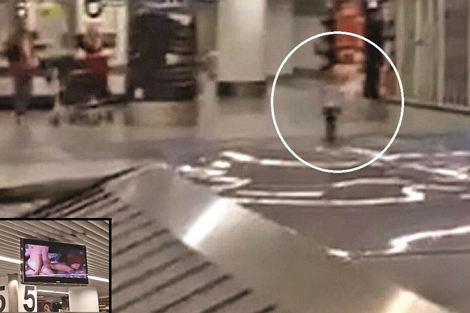 Aeroporto de Lisboa, sexo, televisão, TV, canal generalista, sexo, filme, aeroporto, Lisboa, terminal 1