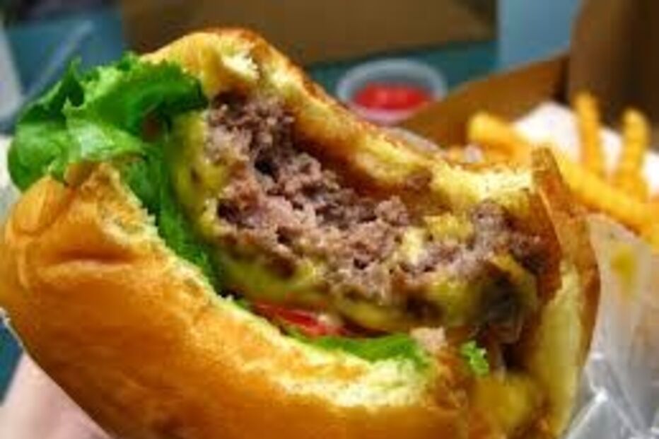 hambúrguer, mordido, restaurante, Nova Zelândia, Ccliente, insólito