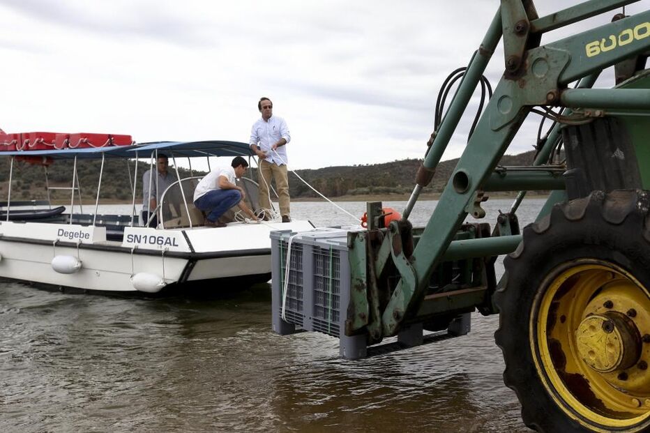 Alqueva, albufeira, produtor, vinhos, Vinho da Água, Alentejo, Ervideira