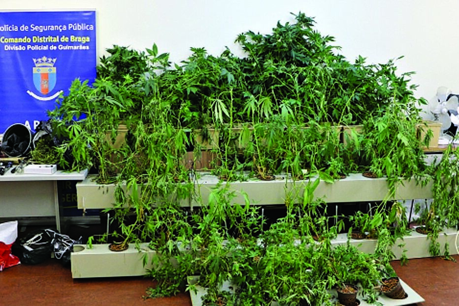 Candidato do BE detido com droga 