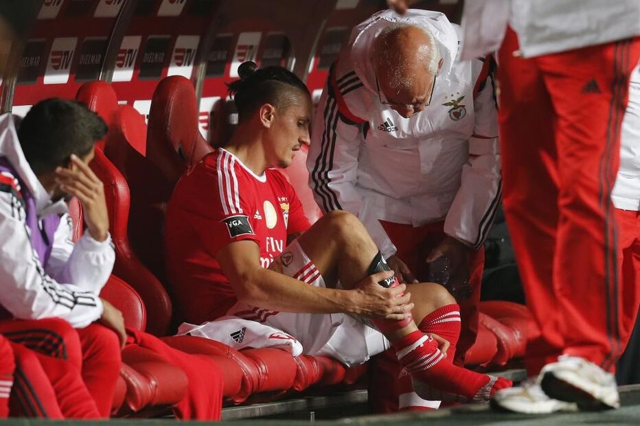 Benfica, Sporting, Fejsa, lesão, traumatismo, desporto, futebol