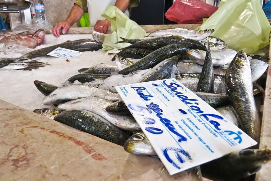 Ministério do Mar, pesca, sardinha, agricultura e pescas, economia, negócios e finanças