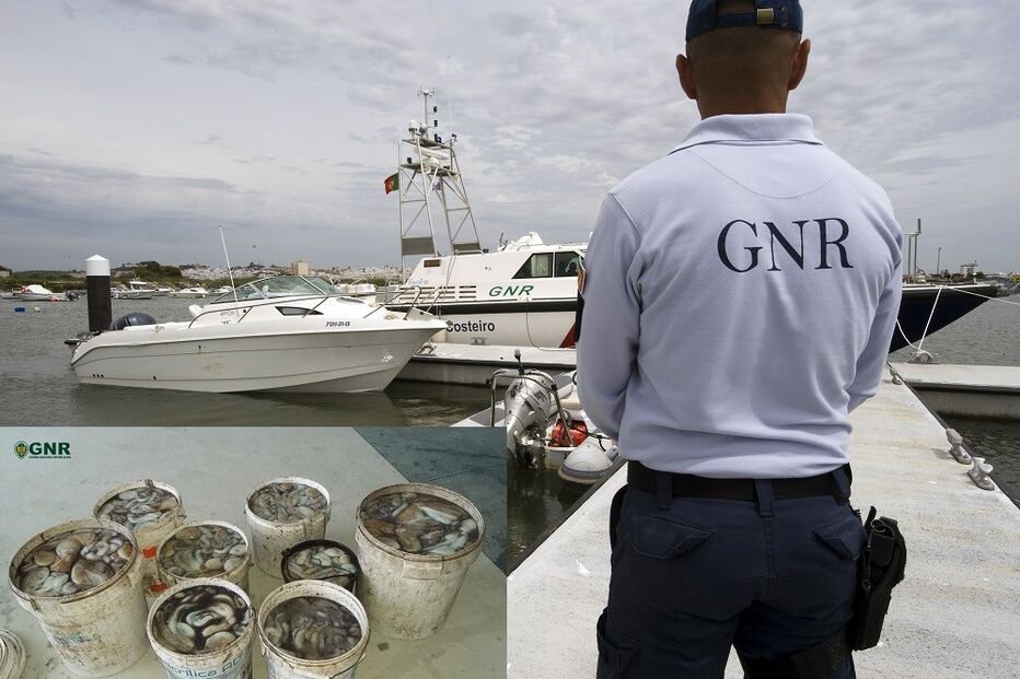 polvo, militares, Manta Rota, Algarve, fiscalização, gnr