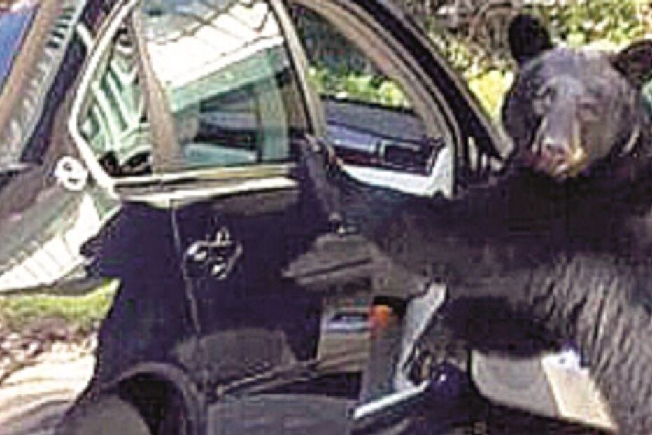 27-10-2015_23_35_22 Imagem 30c.jpg