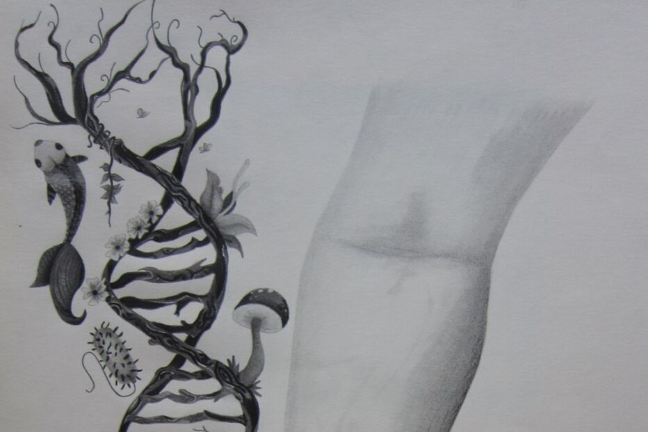 Inês Pereira, Geração Arte