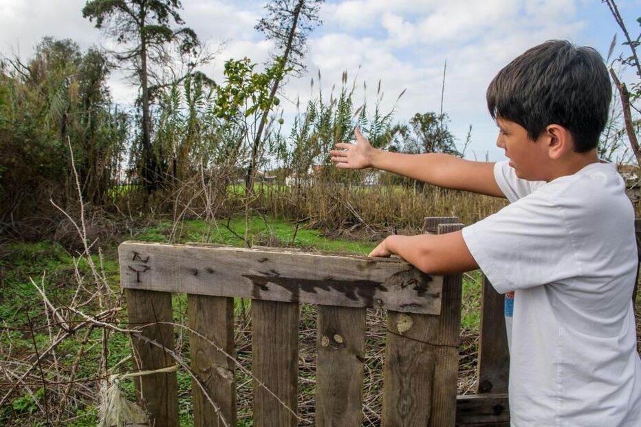 30-10-2015_02_52_23 10913784.JPG