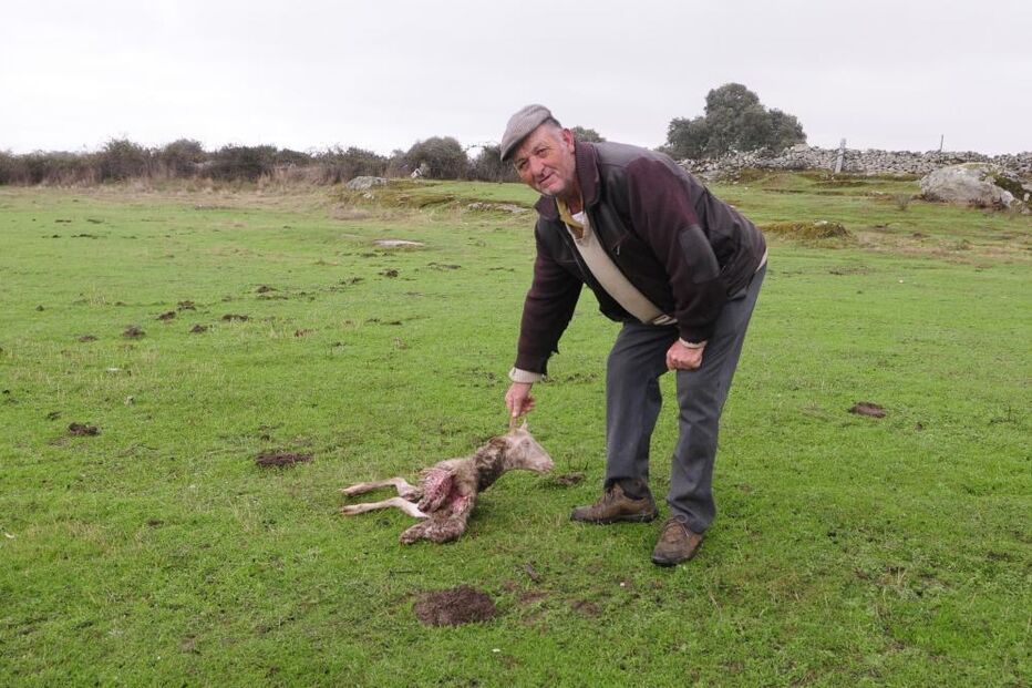 30-10-2015_02_56_27 10907969.JPG