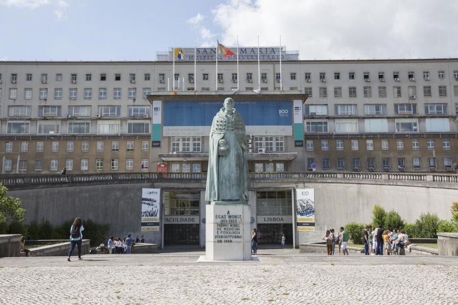 30-10-2015_02_58_57 pitbull 12.jpg