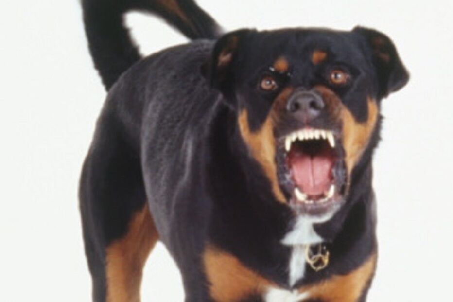 30-10-2015_03_05_57 dor50010530.jpg