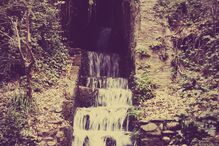 Sofia Borrega, Geração Arte