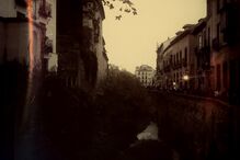 Sofia Borrega, Geração Arte