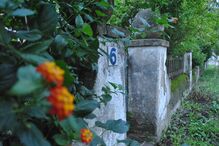 Patrícia Frade, Geração Arte