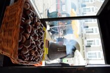 João Arrojado, Geração Arte