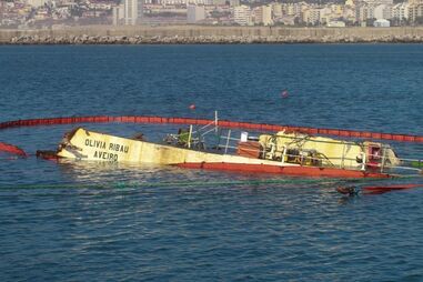 porto da Figueira da Foz, Mondego, Administração do Porto da Figueira da Foz, Navais, Olívia Ribau, Polícia Marítima, questões sociais