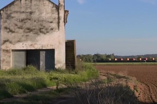 Curta de Filipa Pinto