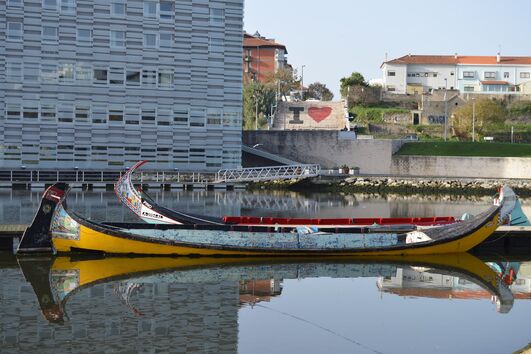 João Arrojado, Geração Arte