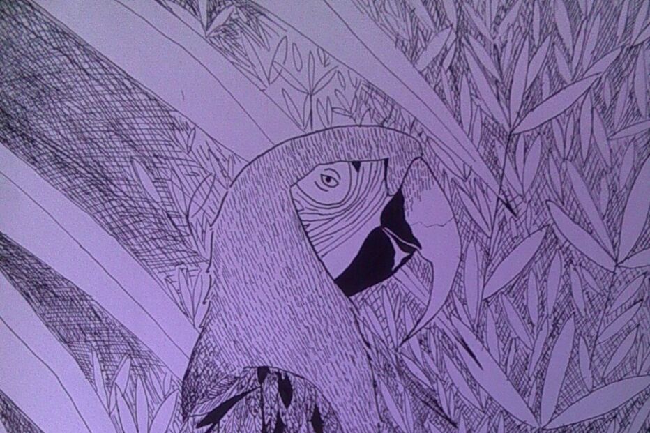 Gonçalo Silva, Geração Arte