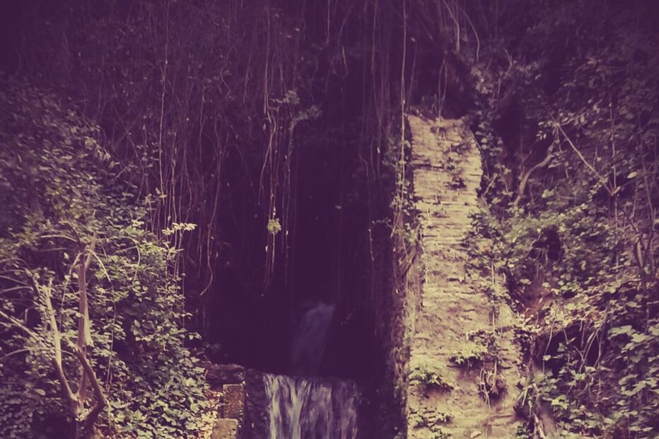 Sofia Borrega, Geração Arte