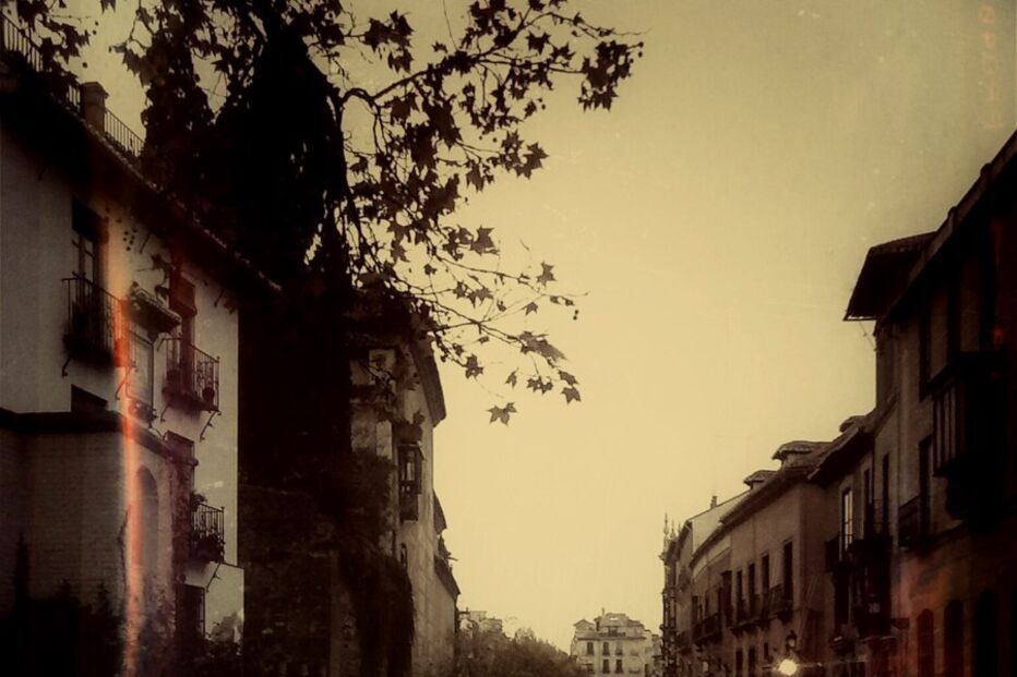 Sofia Borrega, Geração Arte