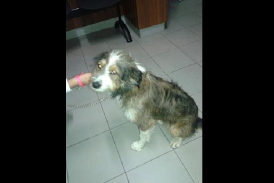 02-11-2015_01_46_07 cao 13.png