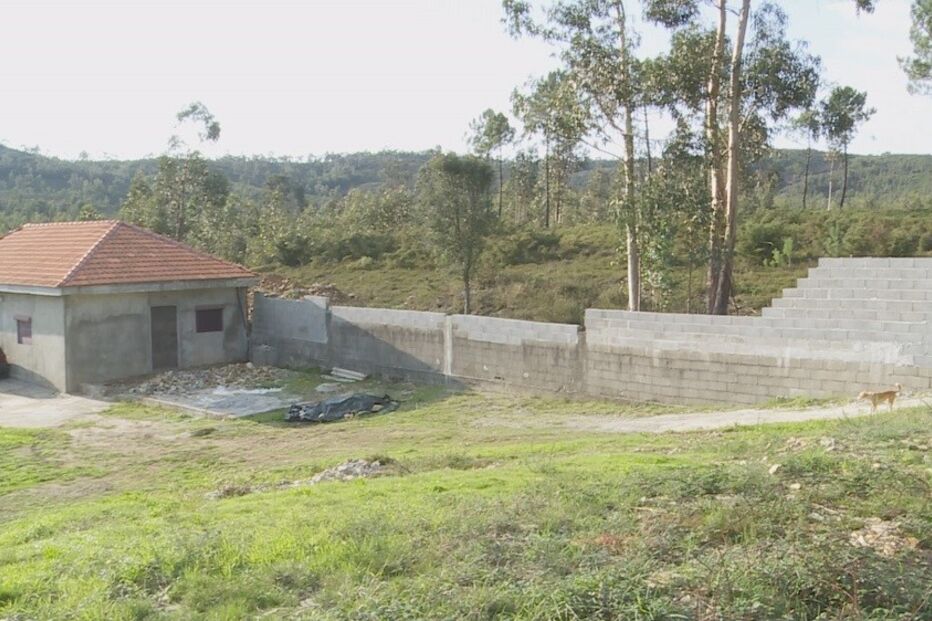 pancada, mulher, morta, Laura Ribeiro, golpes, cabeça, Porto, Balcelhas, Campo, Valongo, Fátima Brito