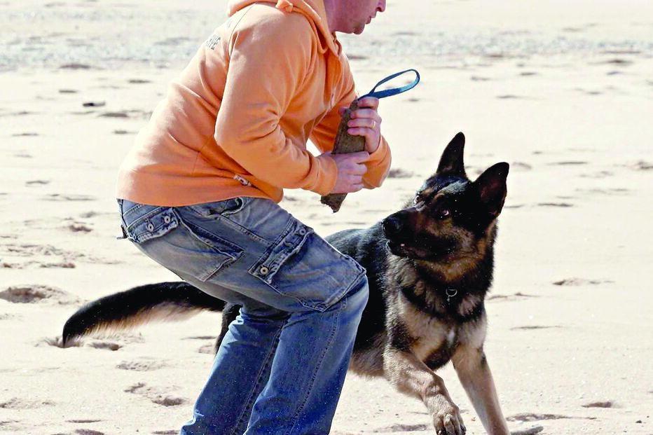 Atacada por cão recebe 7500 € 