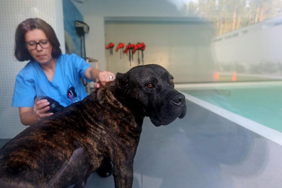 15-11-2015_04_41_27 10992187.JPG