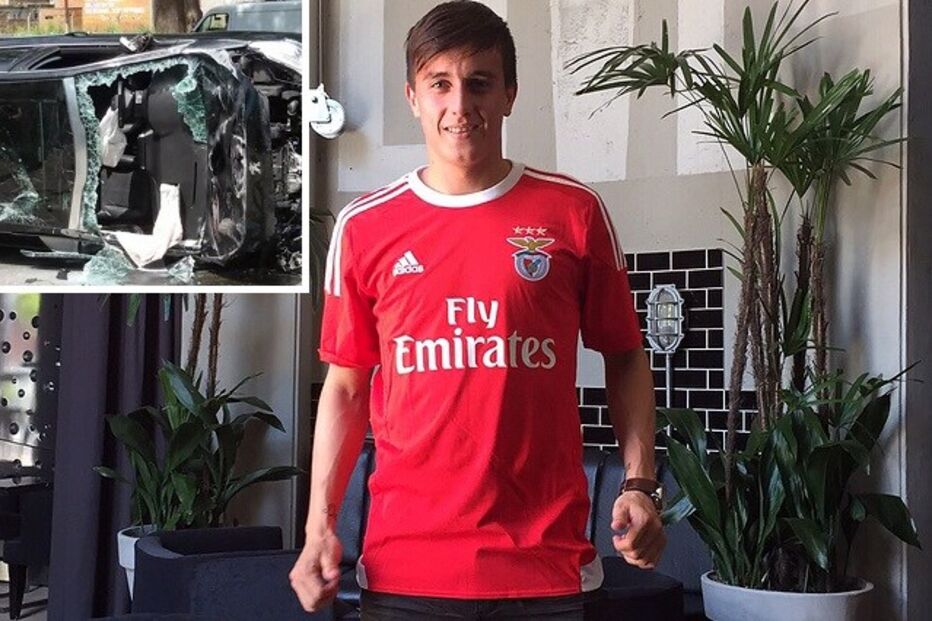 16-11-2015_04_54_18 35 cervi.jpg