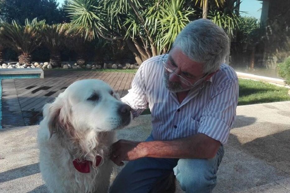 Cão, animais, desaparecimento, Gui, Gondomar, Grândola, António Costa