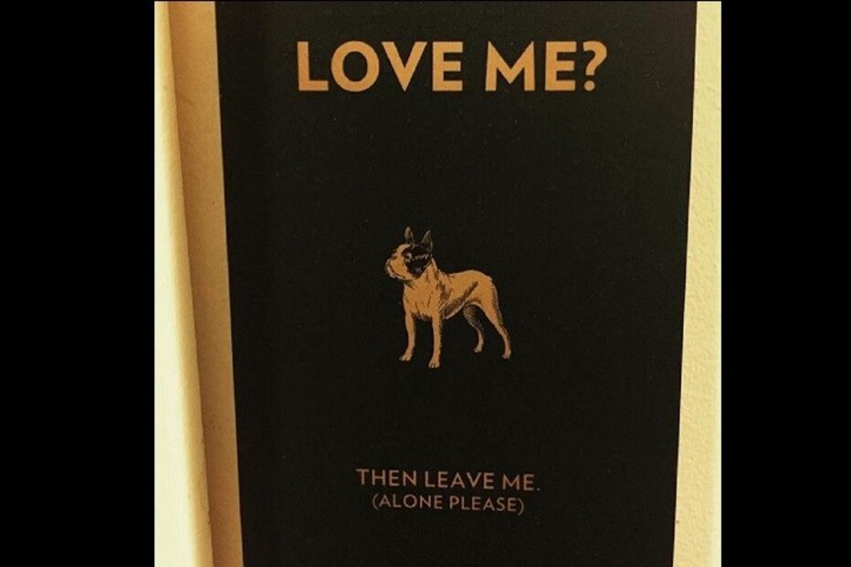 Hotéis, Trivago, motor de busca de hotéis