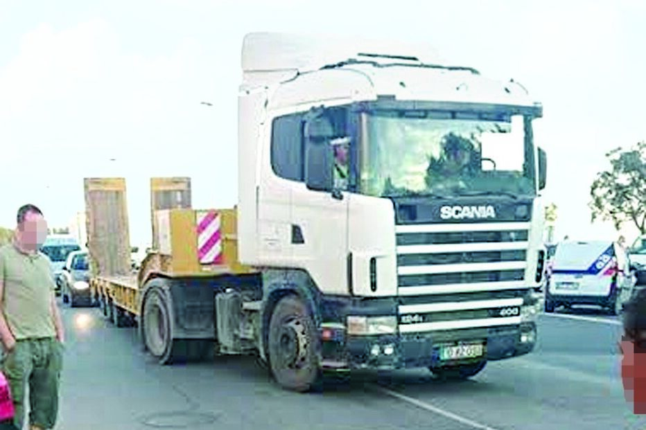 cavalo, fome, inanimado, algarve, GNR, maus tratos, subnutrido, Vale de Éguas, Almancil