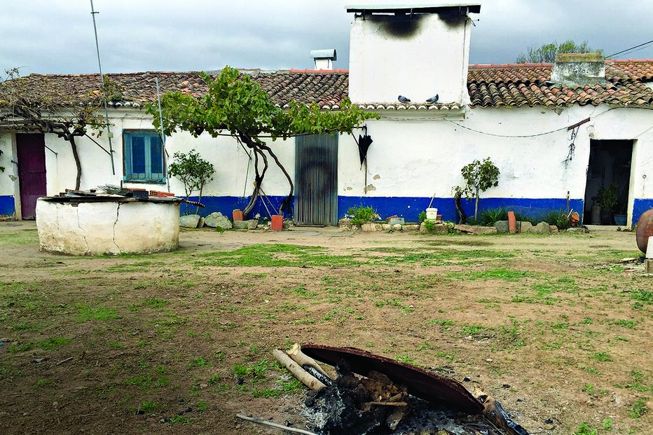 pai, morto, lareira, José Chicharo, corpo, carbonizado, Samarra, Avis