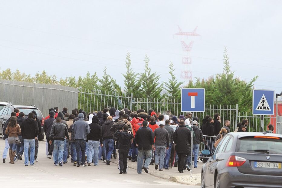 adeptos, benfica, No Name Boys, Sporting, futebol, jogo, claque