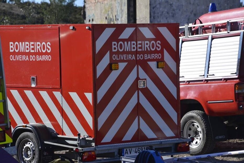 Bombeiros, Oliveira do Bairro, cães, salvamento, caça, poço