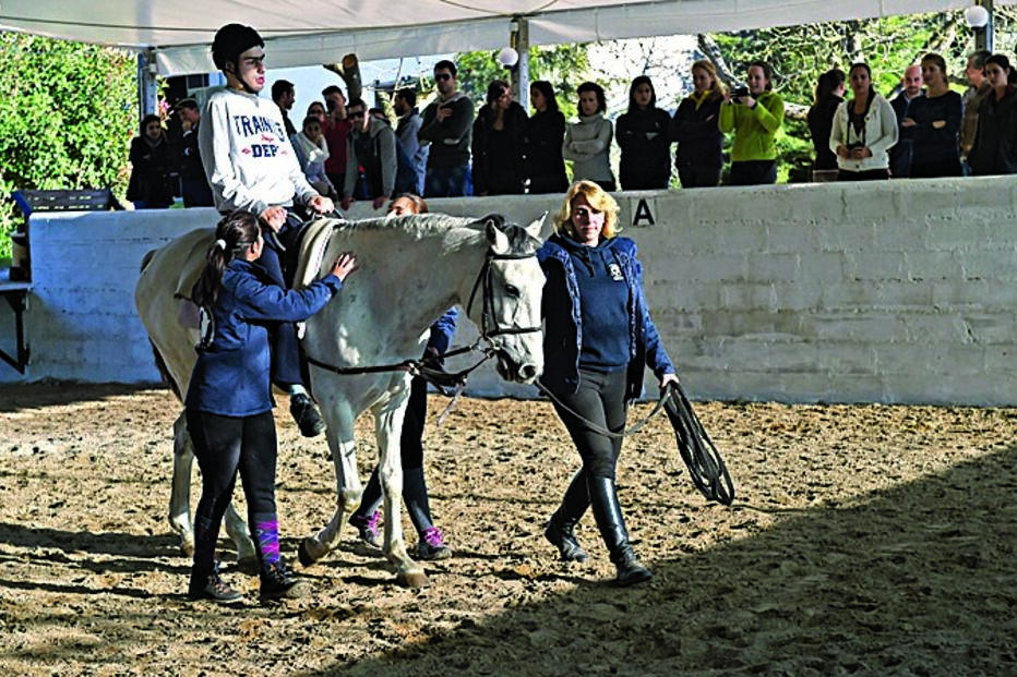 equitação terapêutica, crianças, jovens, Associação Hípica e Psicomotora de Viseu