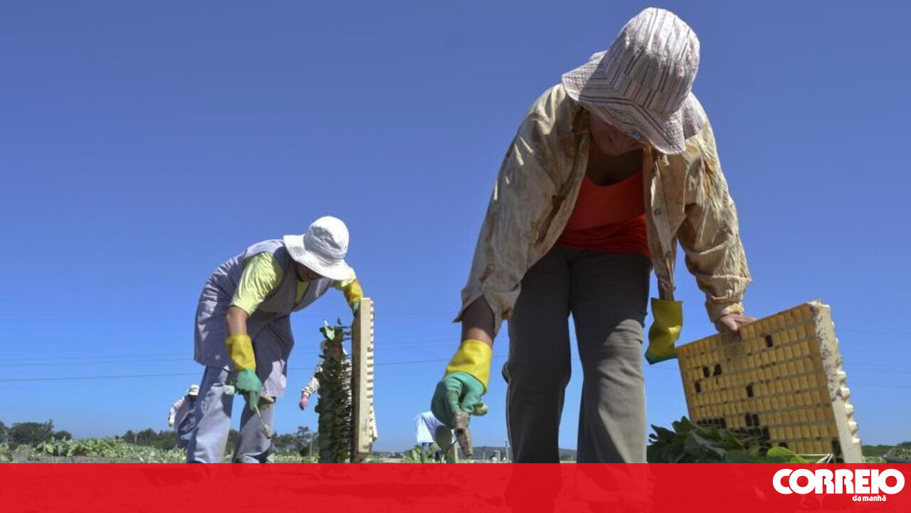CNA considers that the RRP fell far short of what was needed for the agro-forestry sector