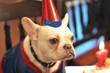 fotos, natal, leitores, correio da manhã, fotografias, cm, espírito natalício, fotogaleria