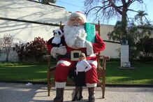 fotos, natal, leitores, correio da manhã, fotografias, cm, espírito natalício, fotogaleria	