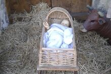 fotos, natal, leitores, correio da manhã, fotografias, cm, espírito natalício, fotogaleria