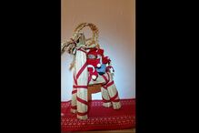 fotos, natal, leitores, correio da manhã, fotografias, cm, espírito natalício, fotogaleria