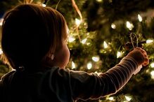 fotos, natal, leitores, correio da manhã, fotografias, cm, espírito natalício, fotogaleria