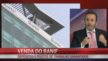Oeiras forma donos para treino do cão