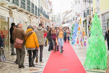 Ana Cordeiro Santos, investigadora do Centro de Estudos Sociais da Universidade de Coimbra, questões sociais