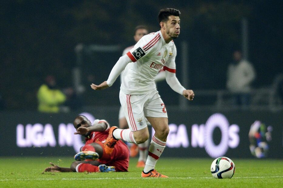 01-12-2015_00_59_45 11080845.JPG