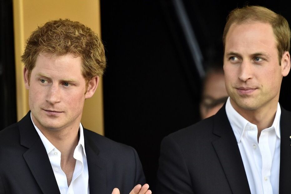 Harry, William, irmãos, realeza, monarquia, Inglaterra